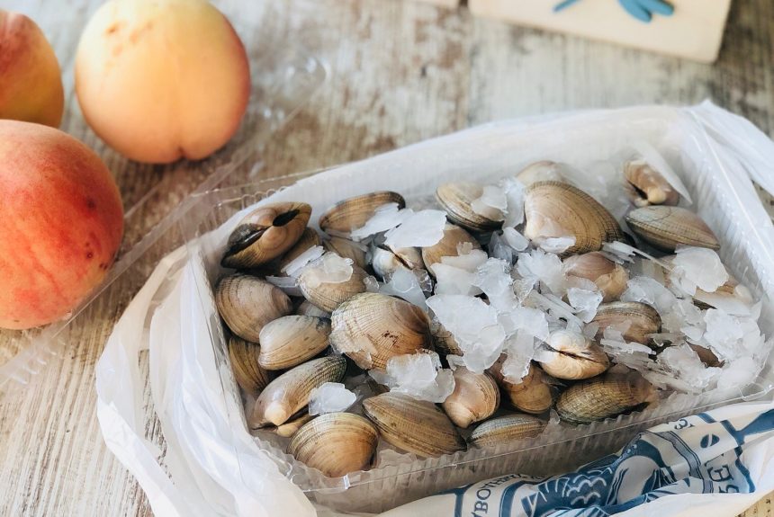 The must have of the summer: the clams