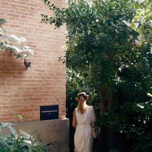 Girare Venezia: i giardini della Biennale